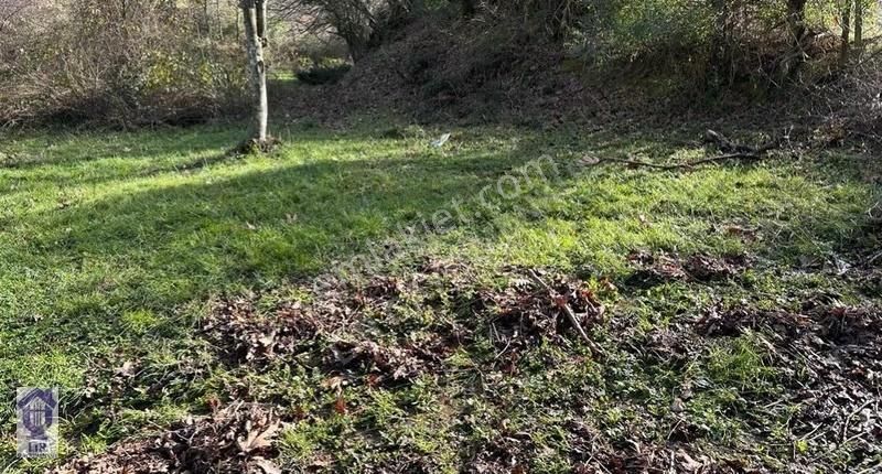 Lir Den Çanakkale Biga Geredelli De Müstakil 218 Metre Tarla - Görsel 6