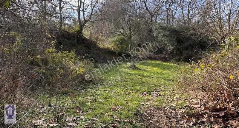 Lir Den Çanakkale Biga Geredelli De Müstakil 218 Metre Tarla - Görsel 15