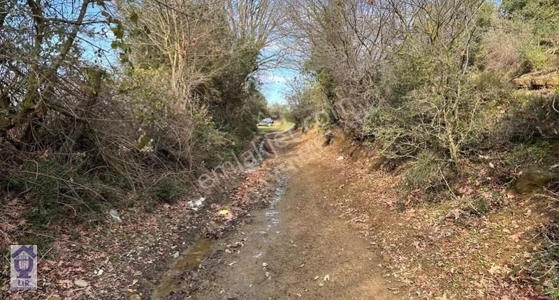 Lir Den Çanakkale Biga Geredelli De Müstakil 218 Metre Tarla - Görsel 9