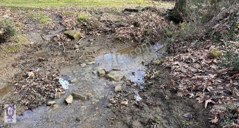 Lir Den Çanakkale Biga Geredelli De Müstakil 218 Metre Tarla - Görsel 12