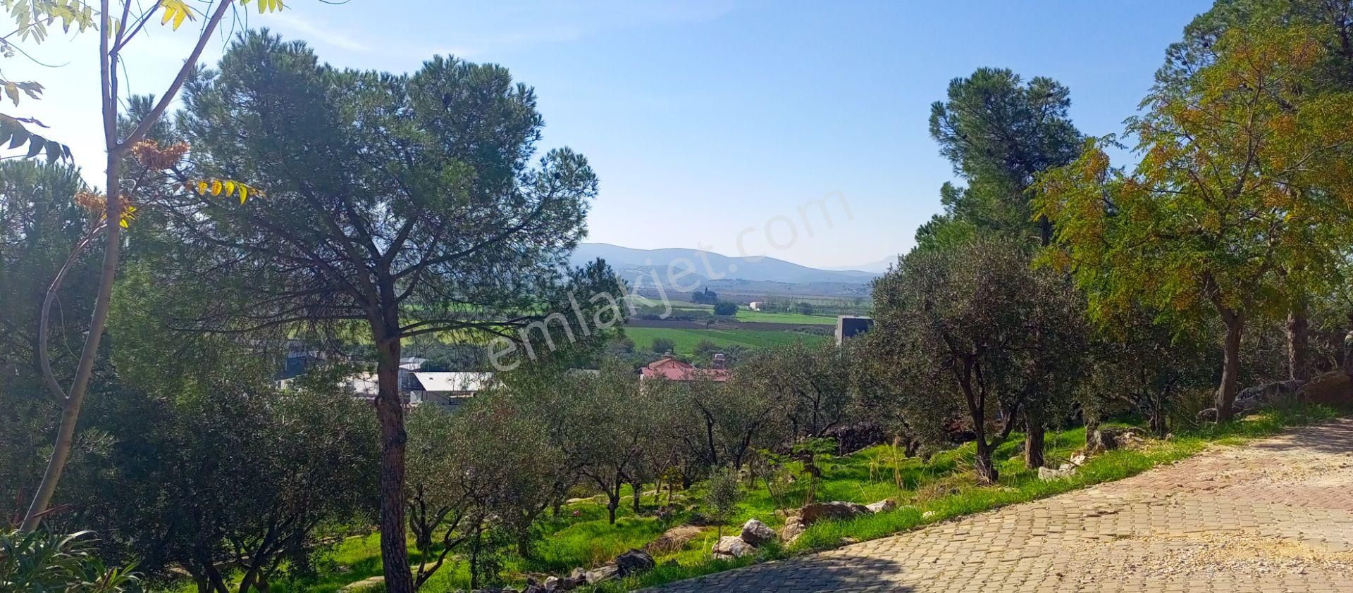 Torbalı Kuşçuburun Mah. Elektrik Ve Suyu Olan 364m2 Konut İmarlı Arsa Satılıktır - Görsel 7