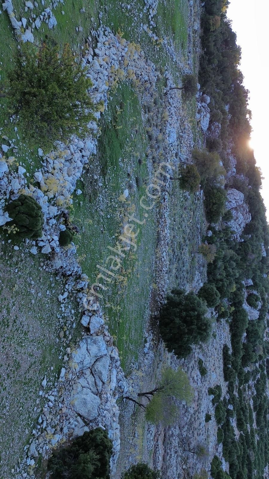 Fethiye Karaagac Mahallesinde Tarla - Görsel 3