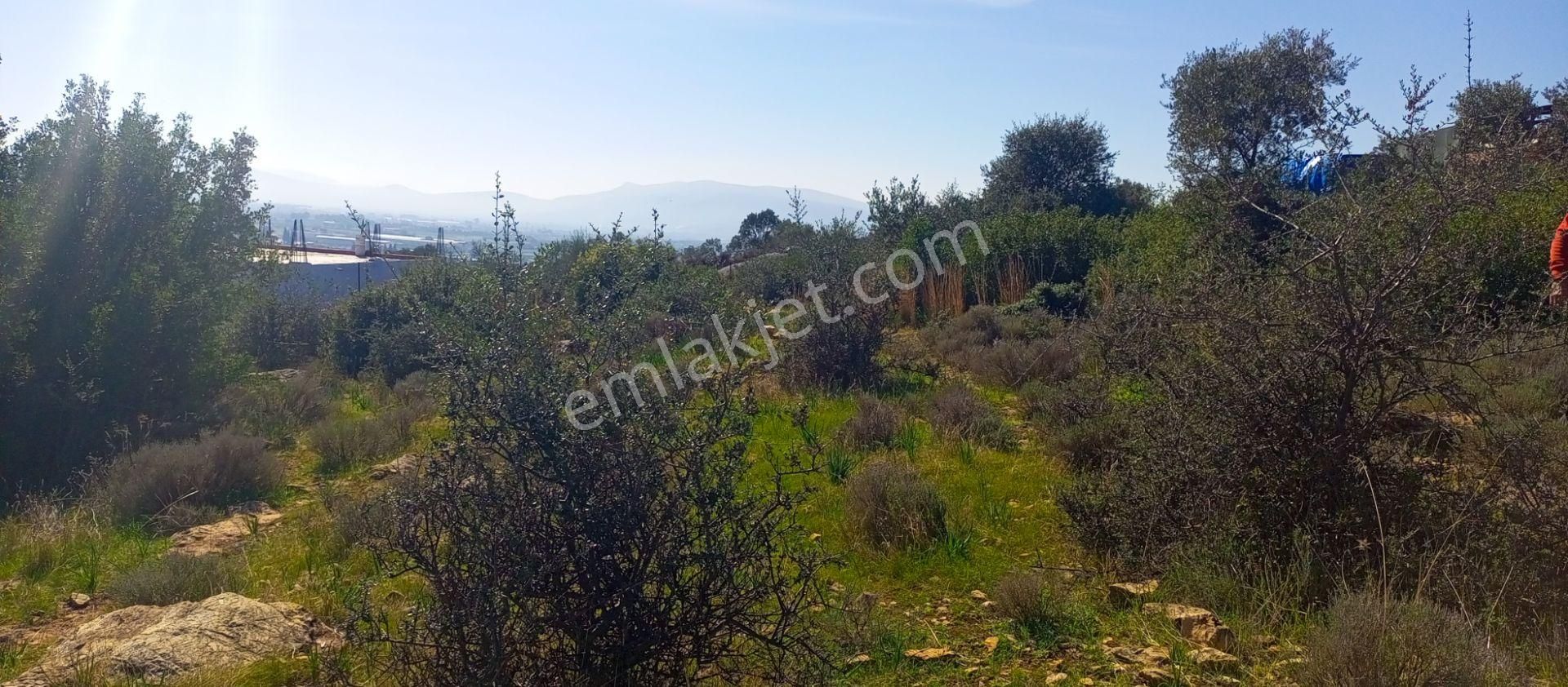Torbalı Emlak'tan Kuşçuburun Mah. 388m2 Kout İmarlı 388m2 Arsamız Satılıktır - Görsel 2