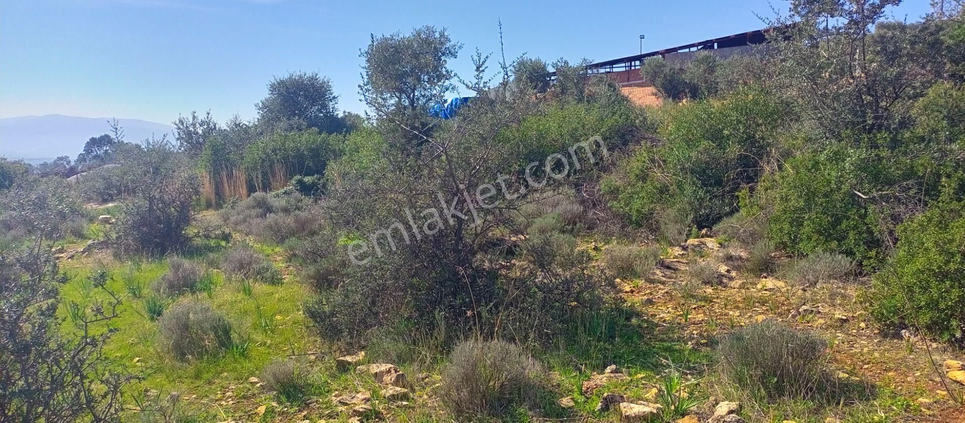 Torbalı Emlak'tan Kuşçuburun Mah. 388m2 Kout İmarlı 388m2 Arsamız Satılıktır - Görsel 4