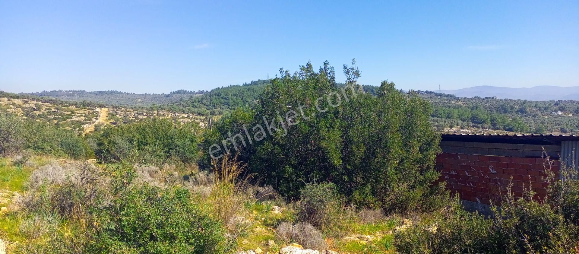 Torbalı Emlak'tan Kuşçuburun Mah. 388m2 Kout İmarlı 388m2 Arsamız Satılıktır - Görsel 11