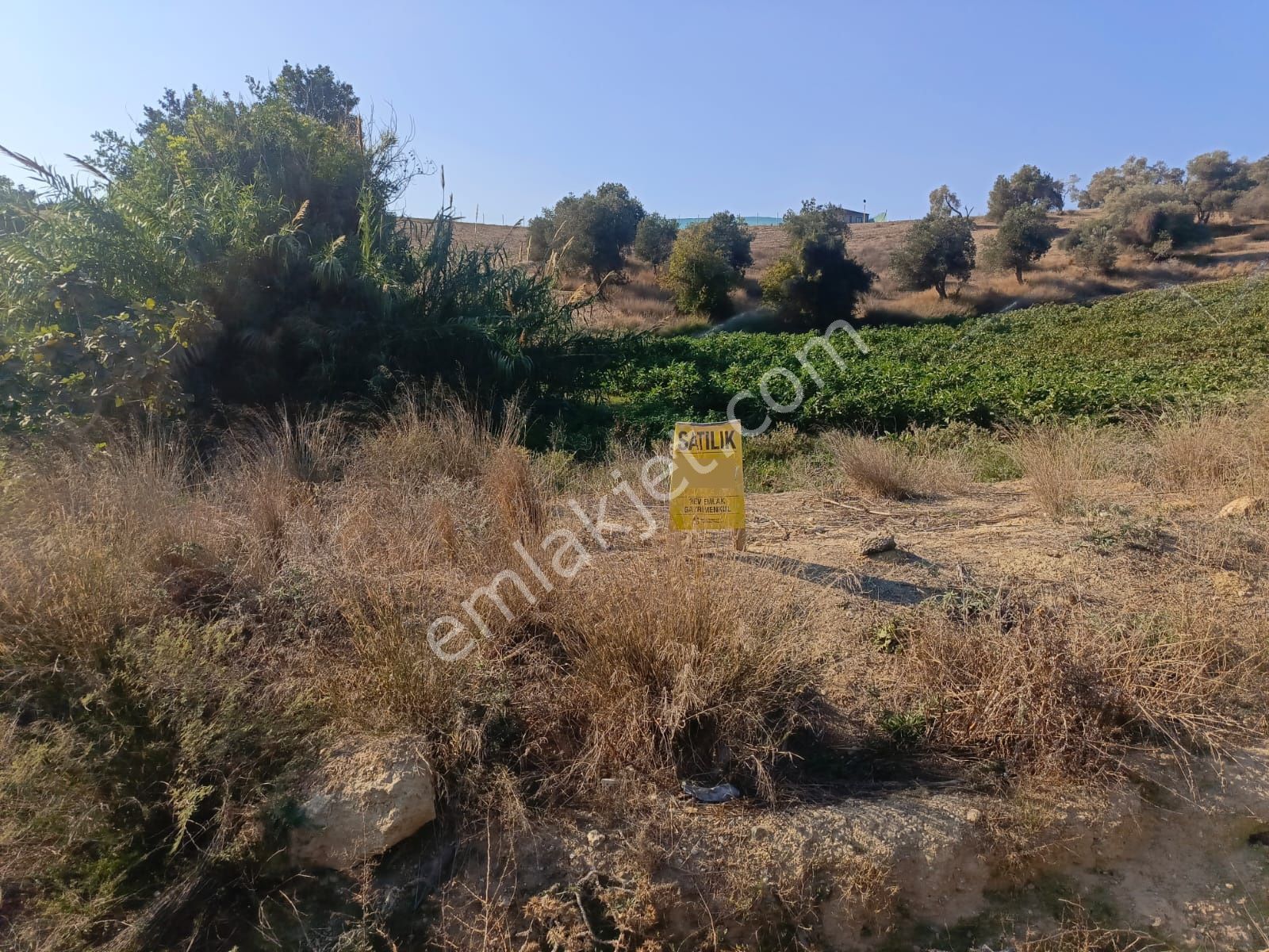3ev Emlak'tan Kabasakal Rüzgarlıtepe'de Hisseli Arsa - Görsel 5
