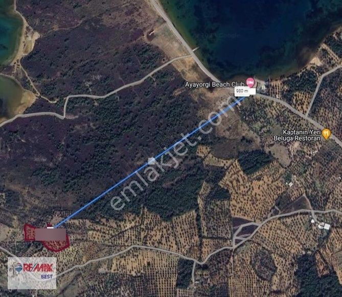 Cunda Namık Kemalde Deniz Manzaralı Satılık Zeytinlik - Görsel 7