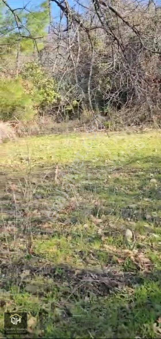 Alanya Burçlar'da Satılık 23dönüm Deniz Manzaralı Tarla - Görsel 2