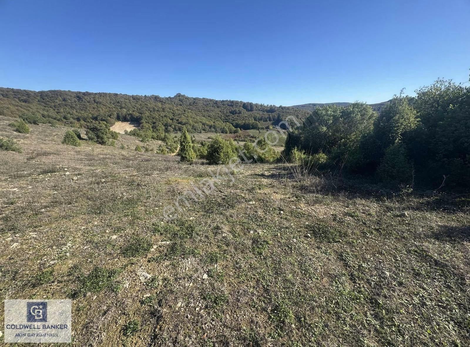 Şilede 'de Çelebi Mahallesinde Müstakil Parsel Satılık Tarla - Görsel 6