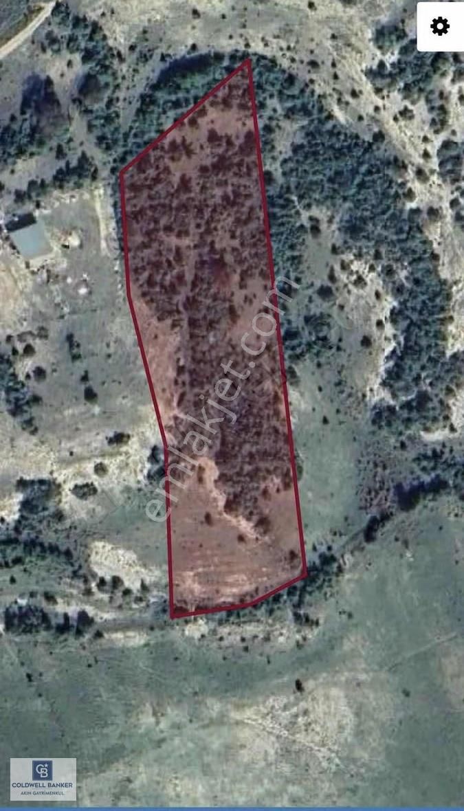 Şilede 'de Çelebi Mahallesinde Müstakil Parsel Satılık Tarla - Görsel 3