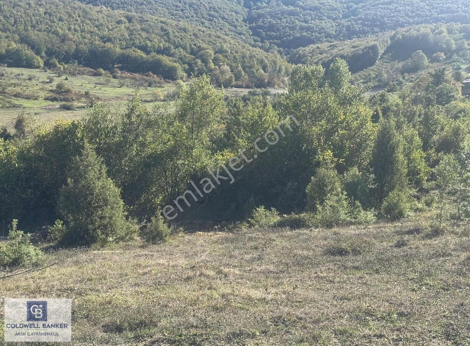 Şilede 'de Çelebi Mahallesinde Müstakil Parsel Satılık Tarla - Görsel 4