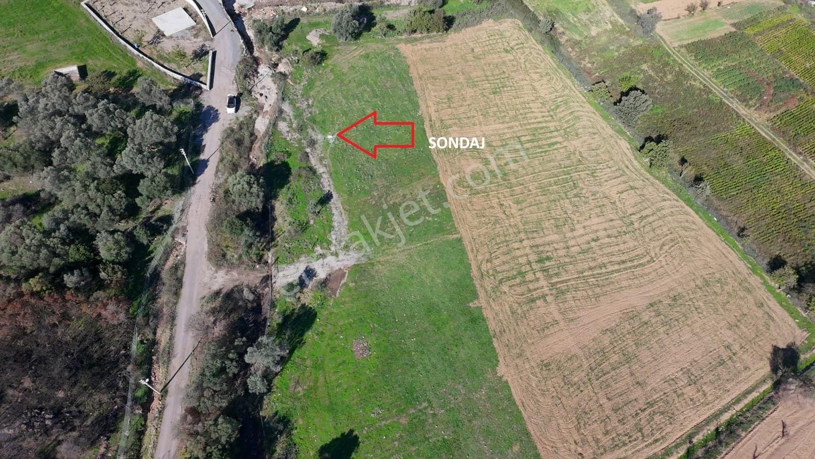 İzmir Seferihisar Orhanlı’da Yatırımlık 11.169 M² Tarla – İçinde Suyu Mevcut - Görsel 16