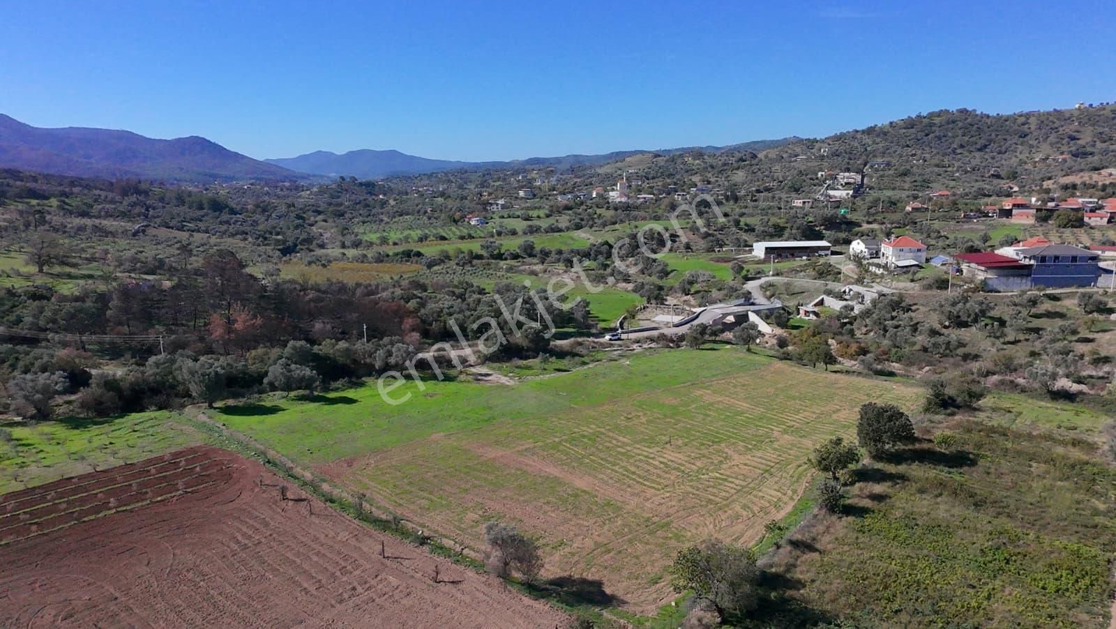 İzmir Seferihisar Orhanlı’da Yatırımlık 11.169 M² Tarla – İçinde Suyu Mevcut - Görsel 21