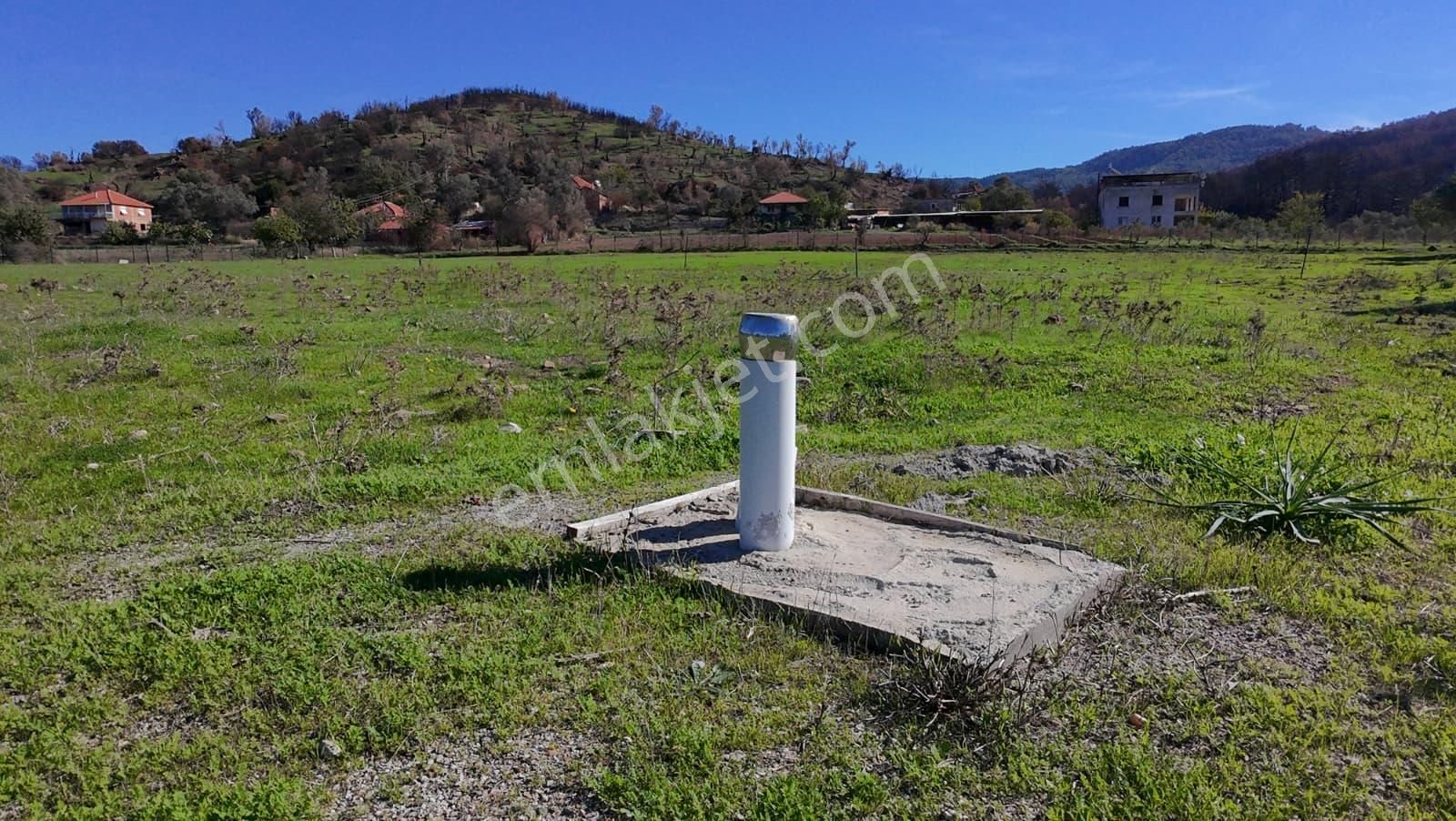 İzmir Seferihisar Orhanlı’da Yatırımlık 11.169 M² Tarla – İçinde Suyu Mevcut - Görsel 5