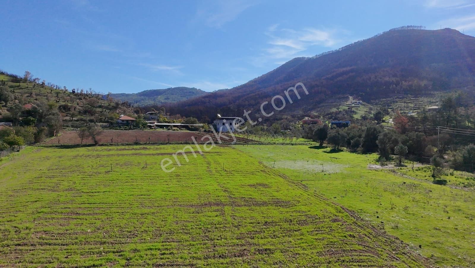 İzmir Seferihisar Orhanlı’da Yatırımlık 11.169 M² Tarla – İçinde Suyu Mevcut - Görsel 13