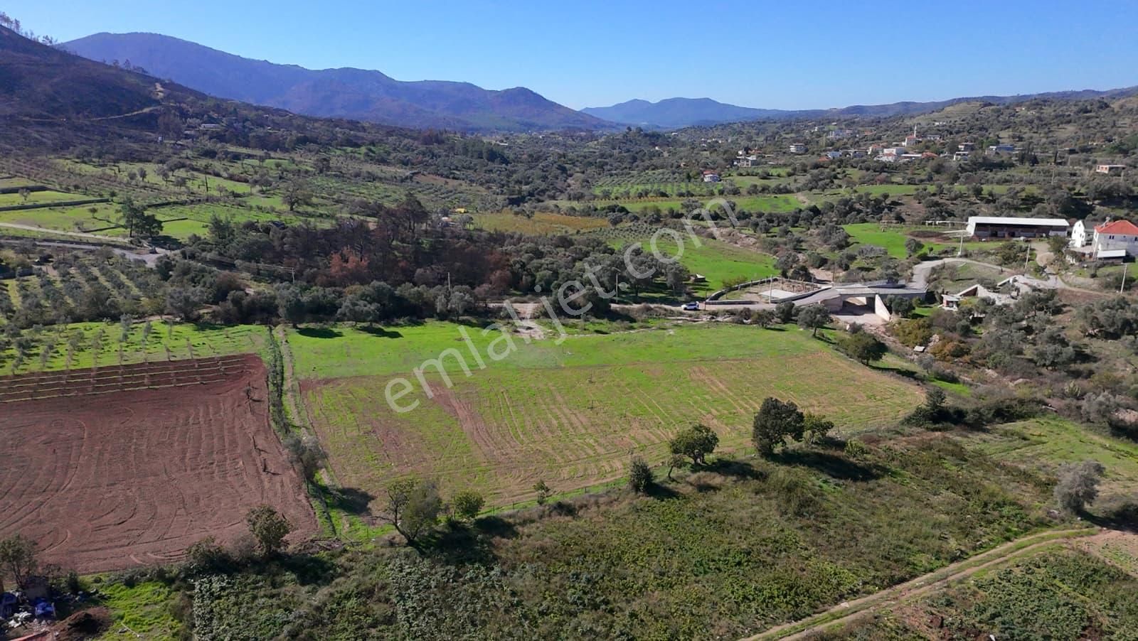 İzmir Seferihisar Orhanlı’da Yatırımlık 11.169 M² Tarla – İçinde Suyu Mevcut - Görsel 6