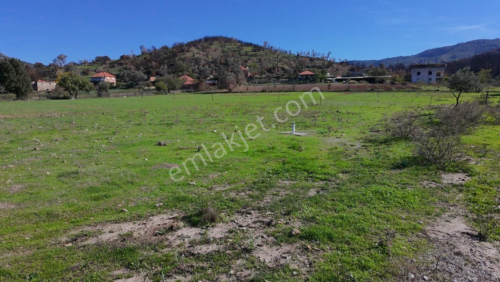 İzmir Seferihisar Orhanlı’da Yatırımlık 11.169 M² Tarla – İçinde Suyu Mevcut