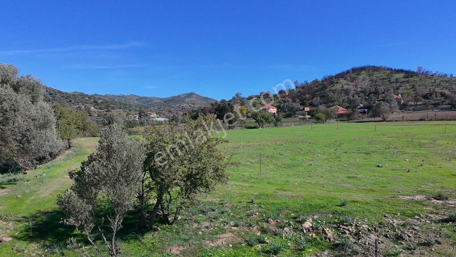 İzmir Seferihisar Orhanlı’da Yatırımlık 11.169 M² Tarla – İçinde Suyu Mevcut - Görsel 19