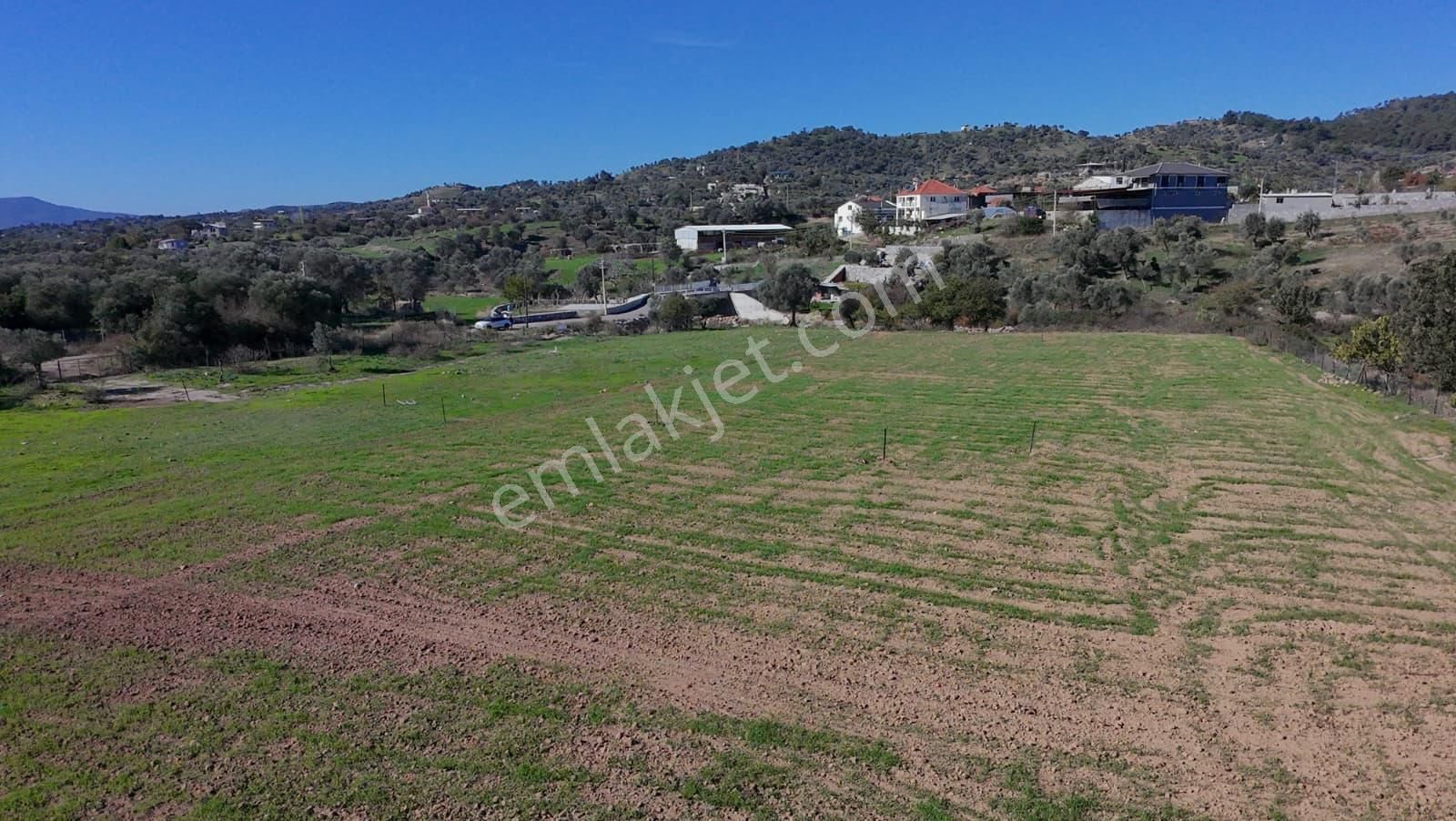 İzmir Seferihisar Orhanlı’da Yatırımlık 11.169 M² Tarla – İçinde Suyu Mevcut - Görsel 8