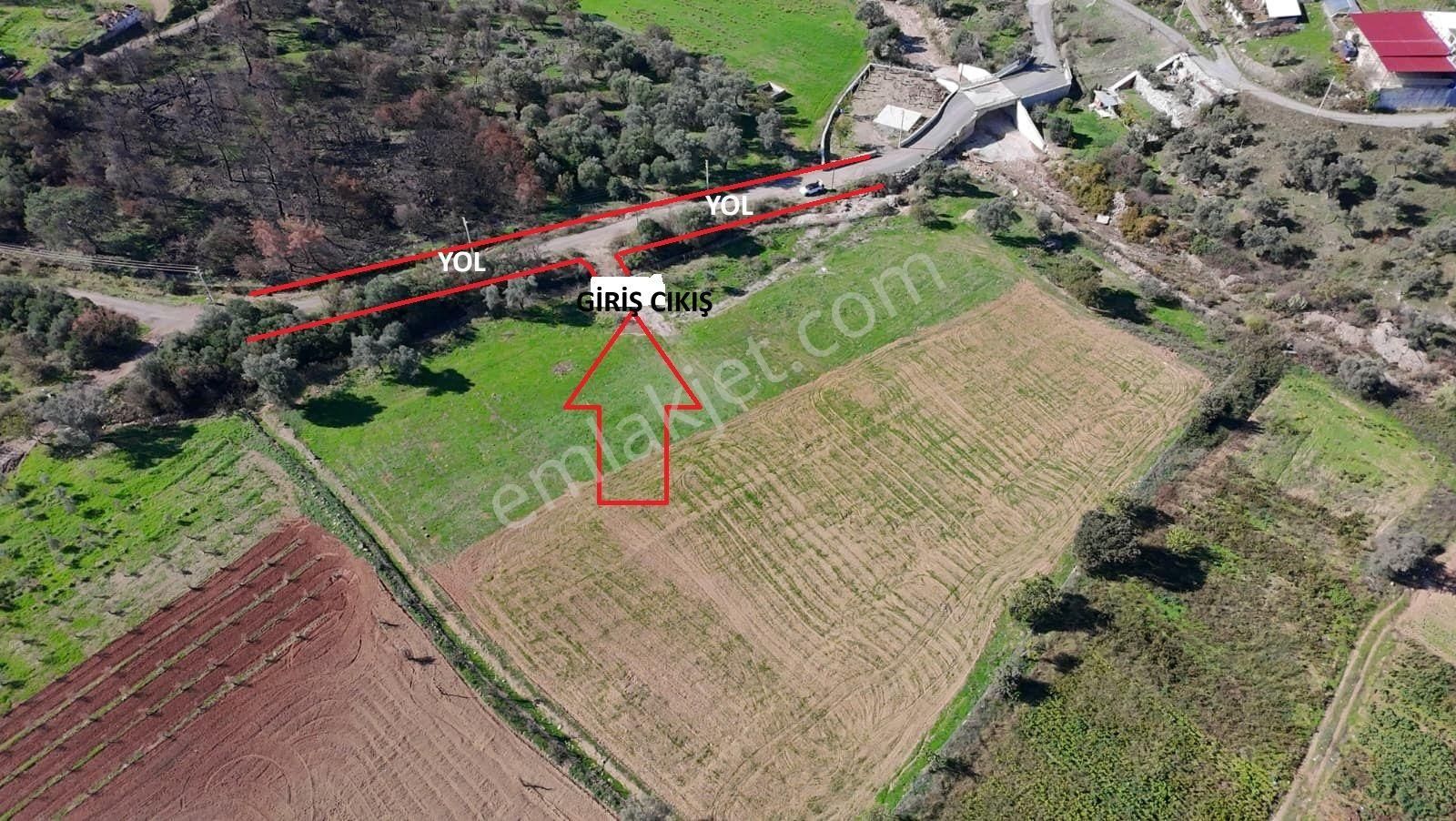 İzmir Seferihisar Orhanlı’da Yatırımlık 11.169 M² Tarla – İçinde Suyu Mevcut - Görsel 18