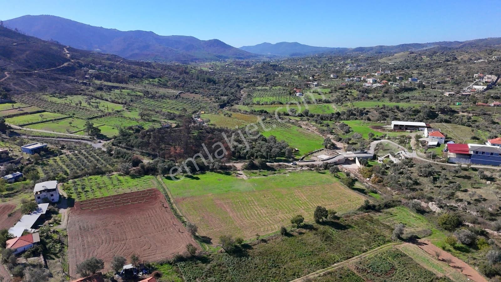 İzmir Seferihisar Orhanlı’da Yatırımlık 11.169 M² Tarla – İçinde Suyu Mevcut - Görsel 3