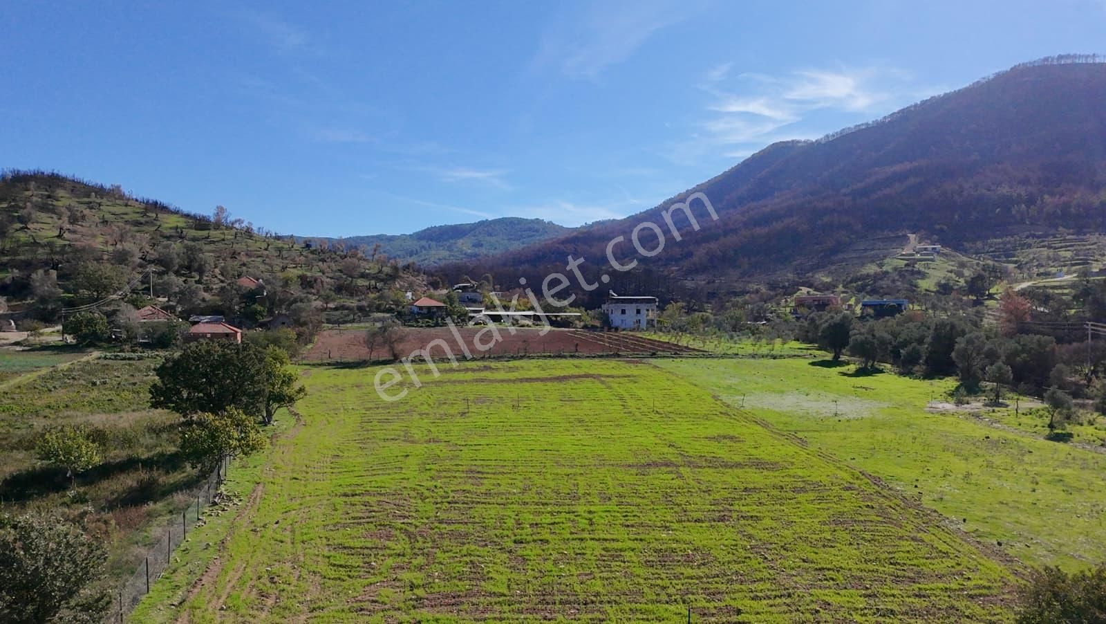 İzmir Seferihisar Orhanlı’da Yatırımlık 11.169 M² Tarla – İçinde Suyu Mevcut - Görsel 14