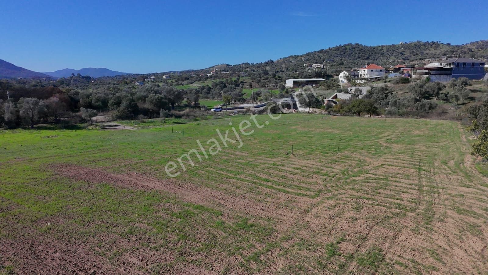 İzmir Seferihisar Orhanlı’da Yatırımlık 11.169 M² Tarla – İçinde Suyu Mevcut - Görsel 17