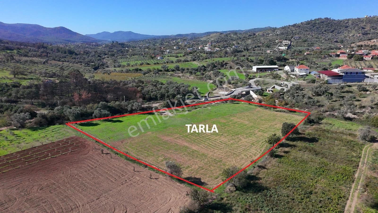 İzmir Seferihisar Orhanlı’da Yatırımlık 11.169 M² Tarla – İçinde Suyu Mevcut - Görsel 11