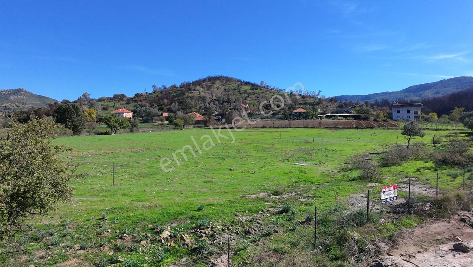 İzmir Seferihisar Orhanlı’da Yatırımlık 11.169 M² Tarla – İçinde Suyu Mevcut - Görsel 9