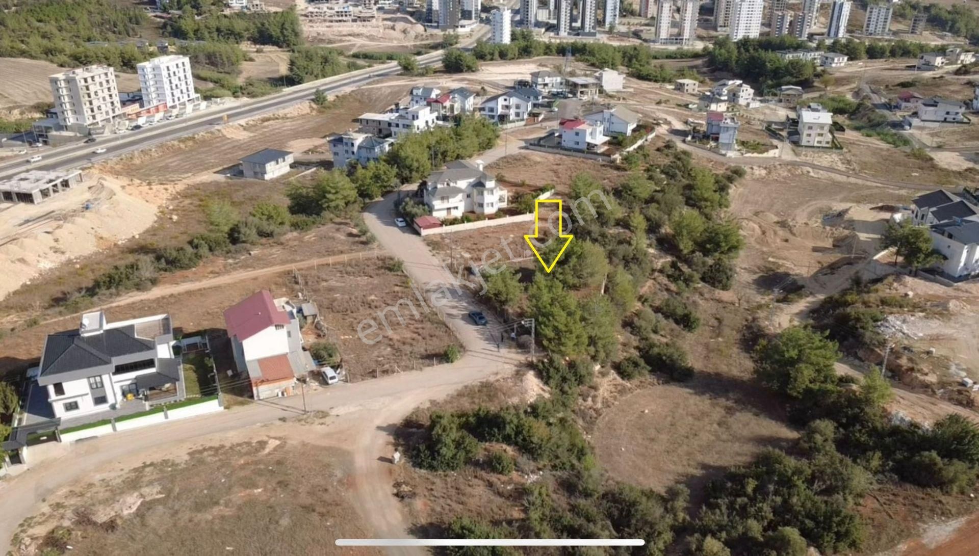 Zorlu' Dan Çınarlı Mah. Telle Çevrili Tek Tapu Satılık Arsa - Görsel 5