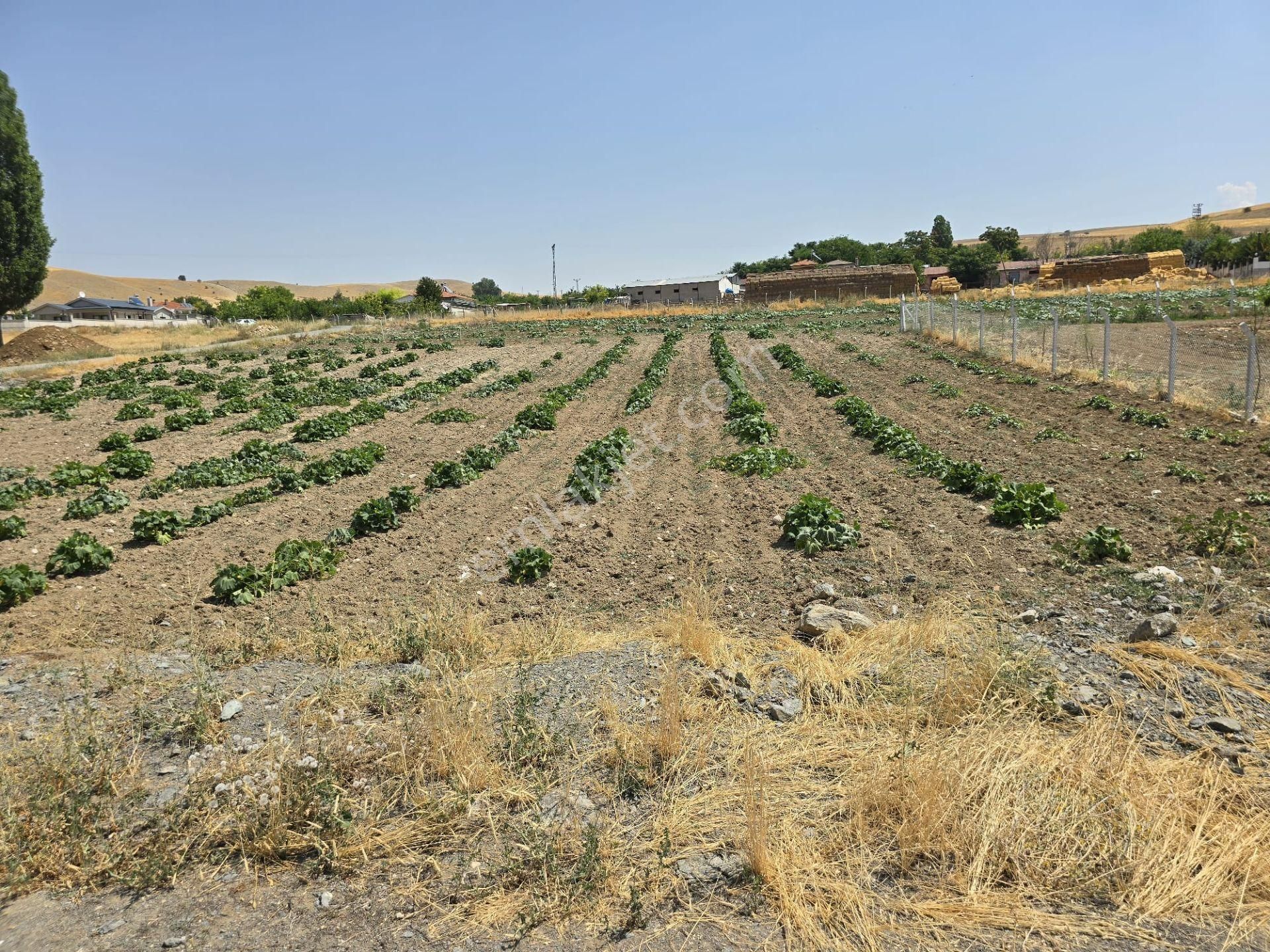 Şehitali Yapılaşma İçinde Köşe Villa Parseli 1674m2