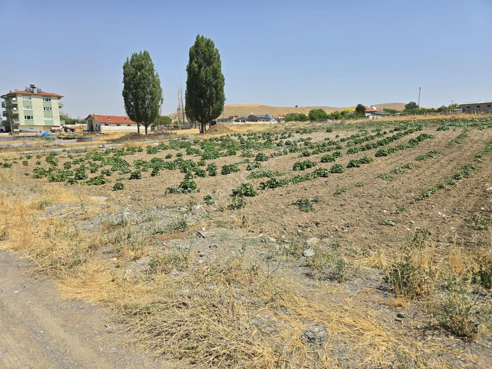 Şehitali Yapılaşma İçinde Köşe Villa Parseli 1674m2 - Görsel 2