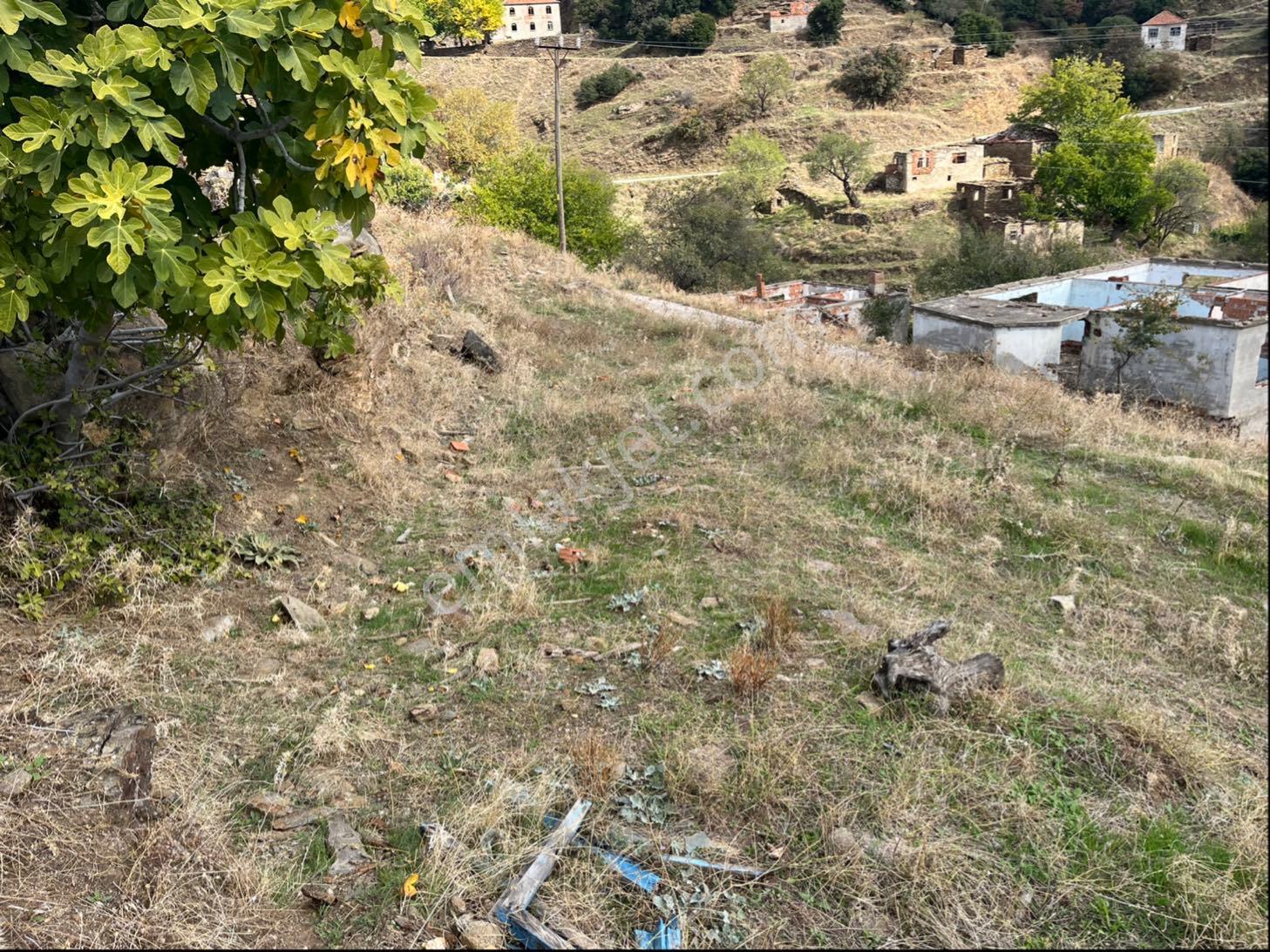 Miray Emlaktan Yenipazar Alioğulları Mahallesinde Satılık Arsa - Görsel 16