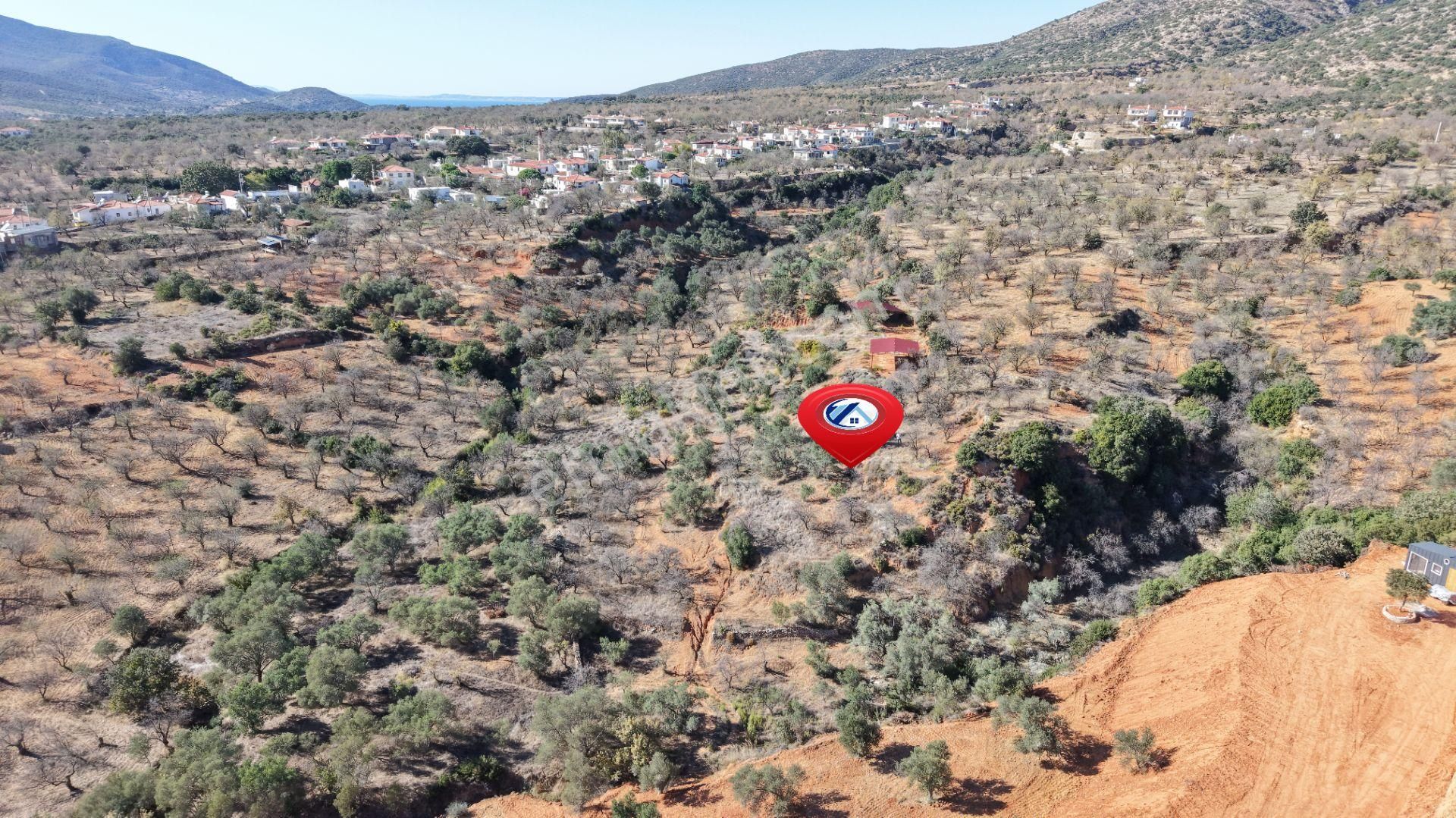 Datça Cumalı Mahallesinde 4.606m² Bademlik - Görsel 8