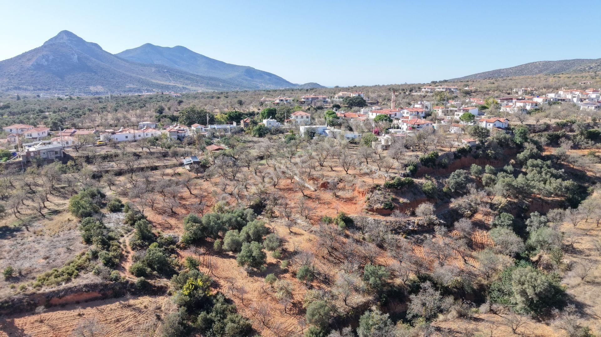 Datça Cumalı Mahallesinde 4.606m² Bademlik - Görsel 15