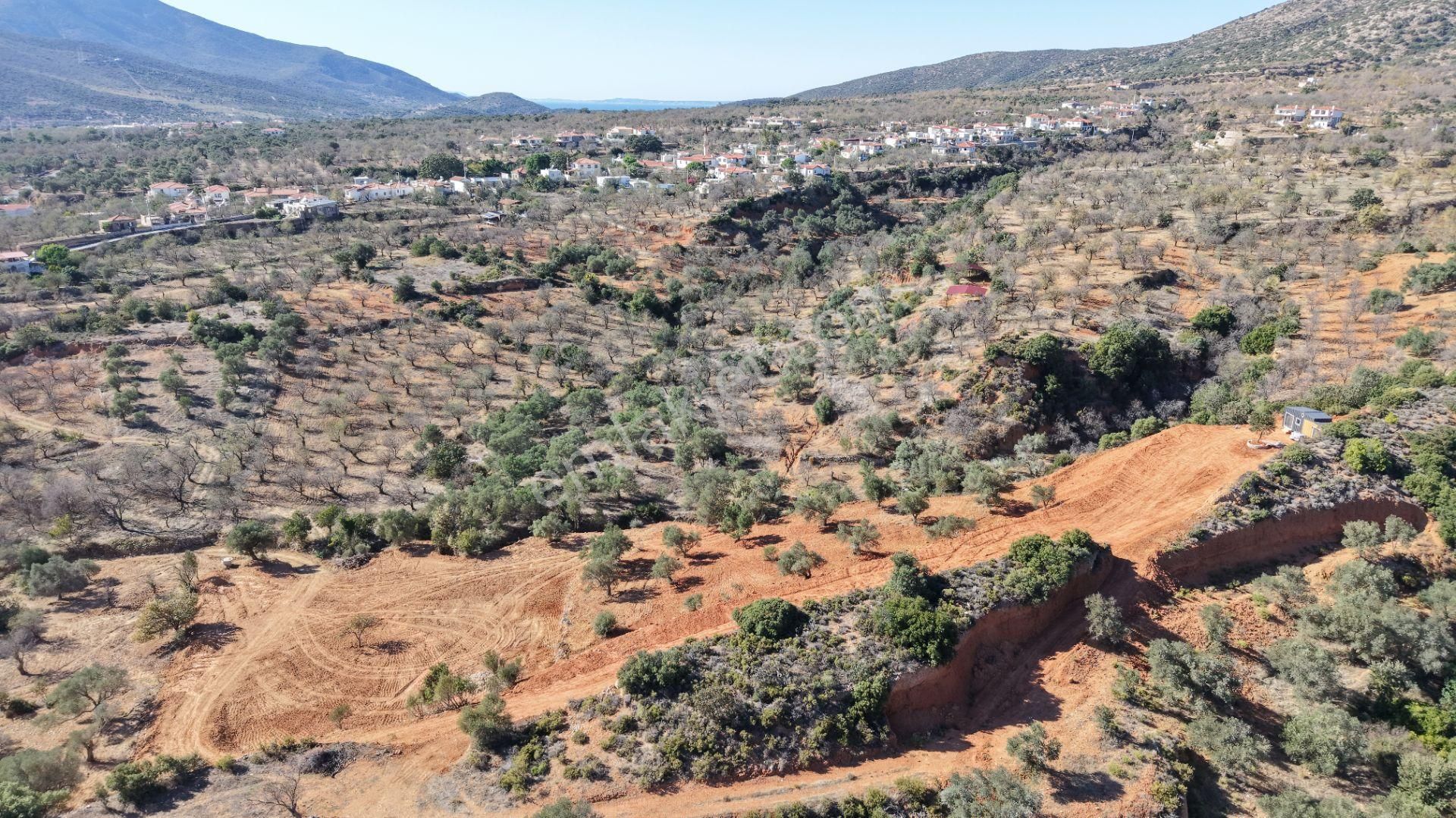 Datça Cumalı Mahallesinde 4.606m² Bademlik - Görsel 7