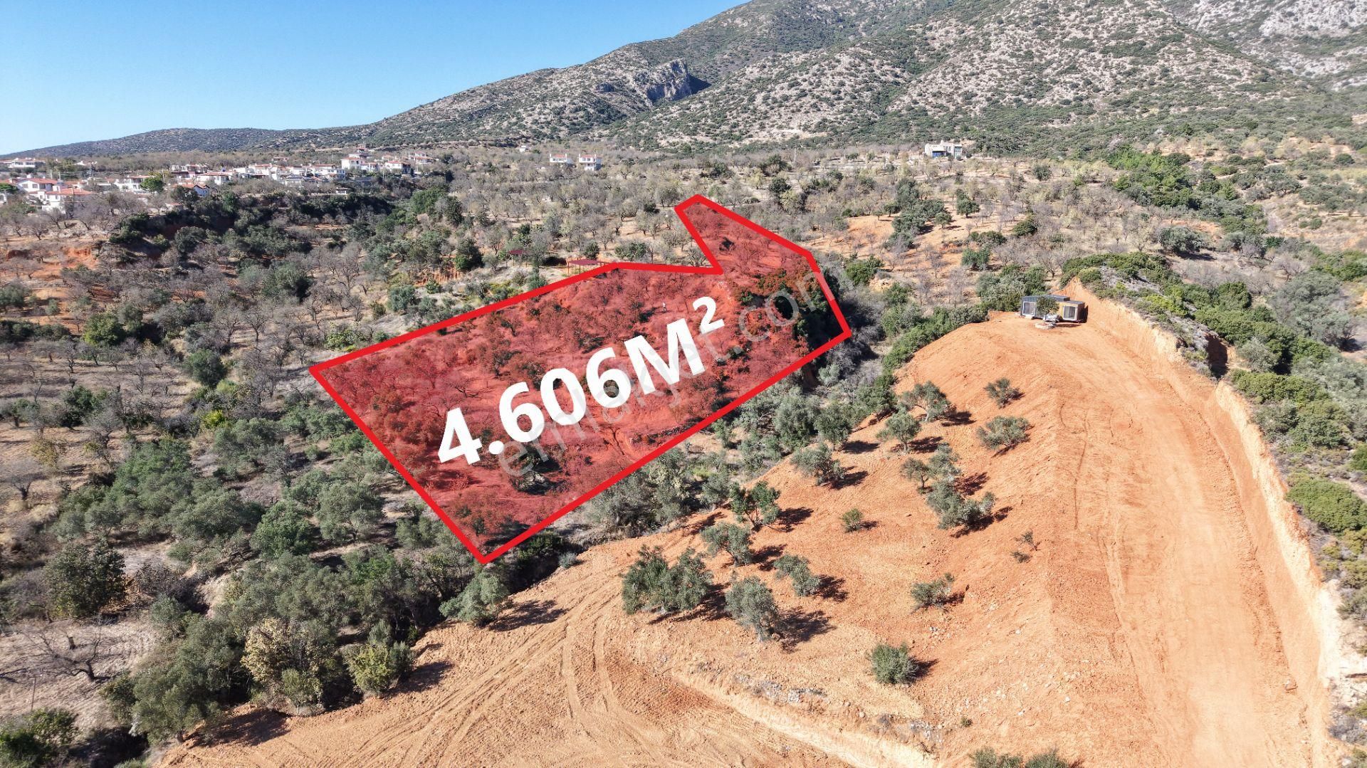 Datça Cumalı Mahallesinde 4.606m² Bademlik - Görsel 11