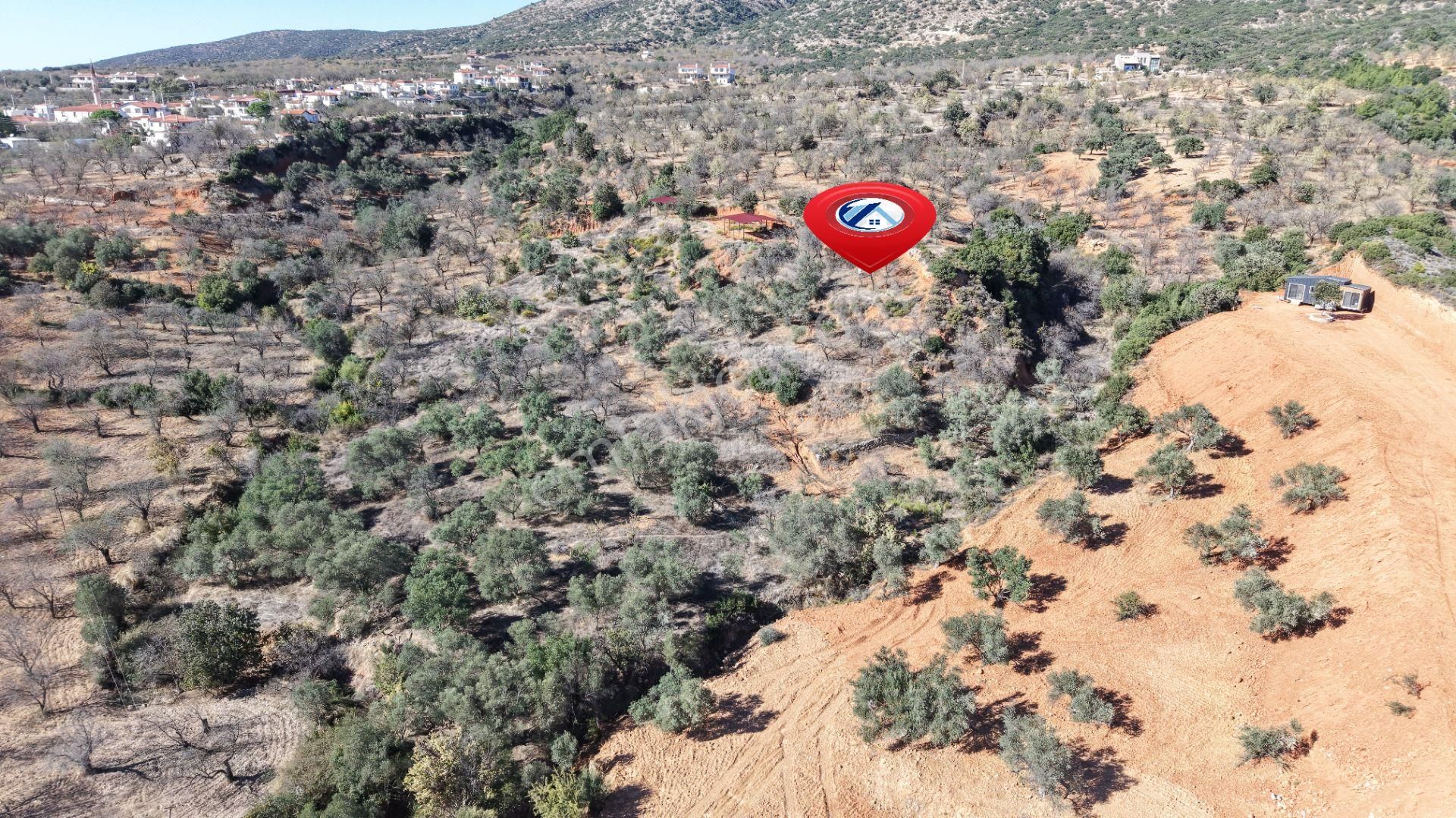 Datça Cumalı Mahallesinde 4.606m² Bademlik - Görsel 3