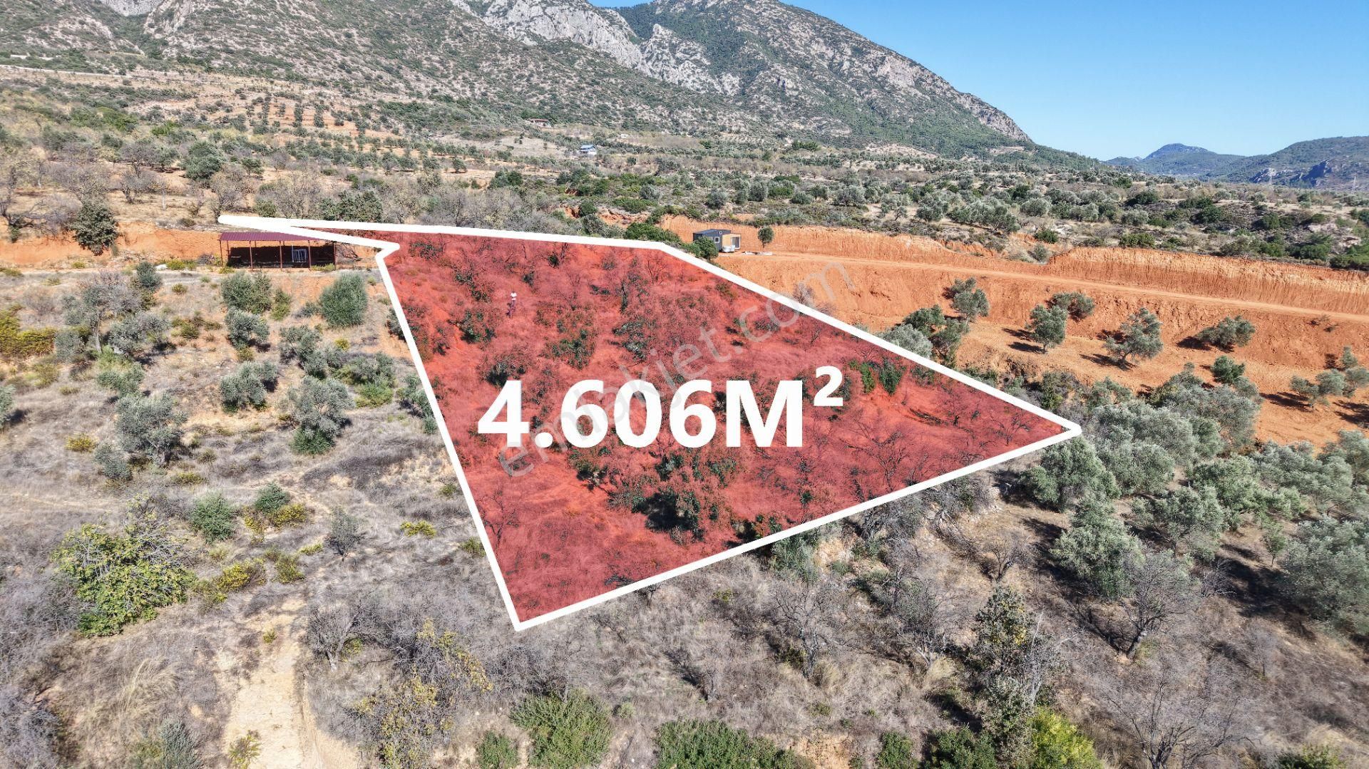 Datça Cumalı Mahallesinde 4.606m² Bademlik - Görsel 14
