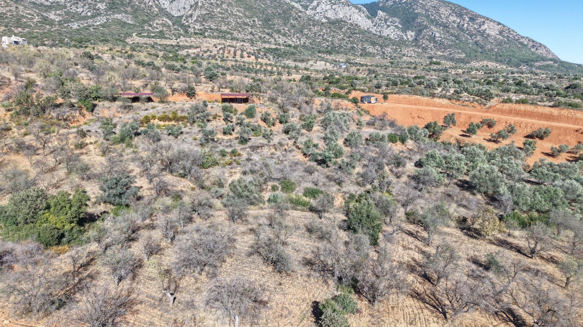 Datça Cumalı Mahallesinde 4.606m² Bademlik - Görsel 17