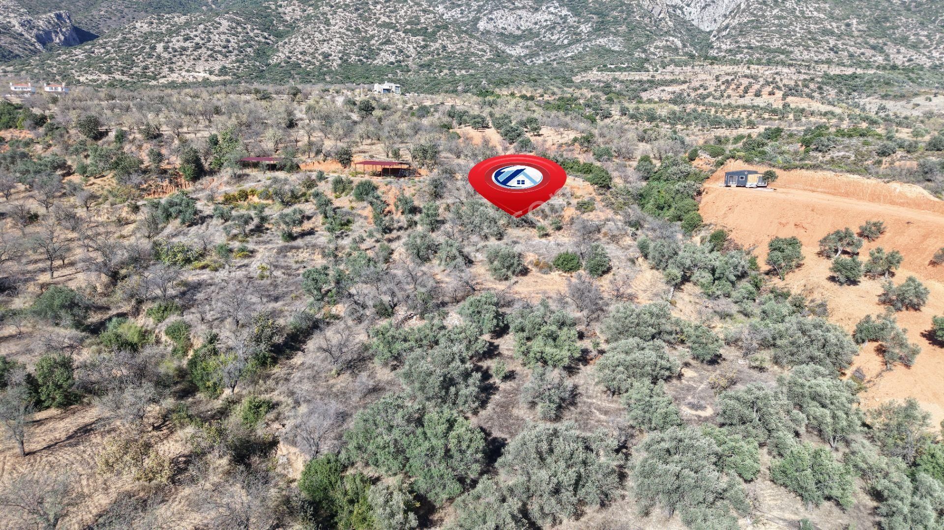 Datça Cumalı Mahallesinde 4.606m² Bademlik - Görsel 13
