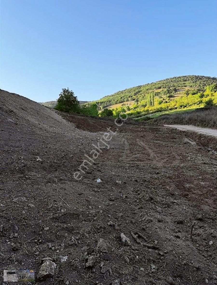 Kestel Ümitalanda 1007 Metre Bahçe - Görsel 4