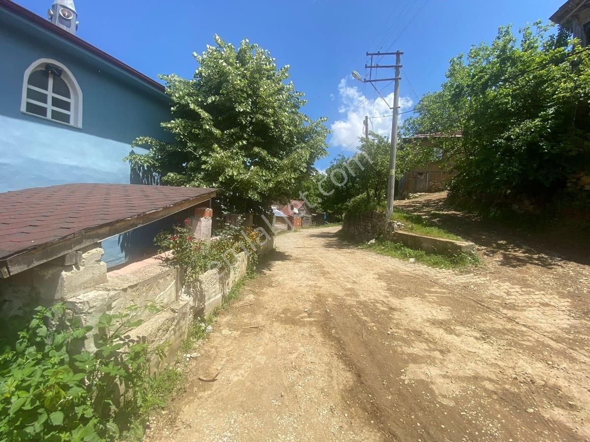 Geyve Koru Köyü Yerleşim Alanı İçerisinde Satılık Tarla - Görsel 2