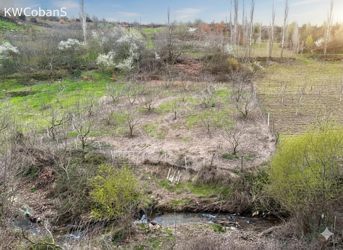 Kw Cobans'tan Yatırımlık Fırsat! Kemalpaşa’da Tek Hisseli 1488 M² Bağ Bahçe Arazi! - Görsel 4