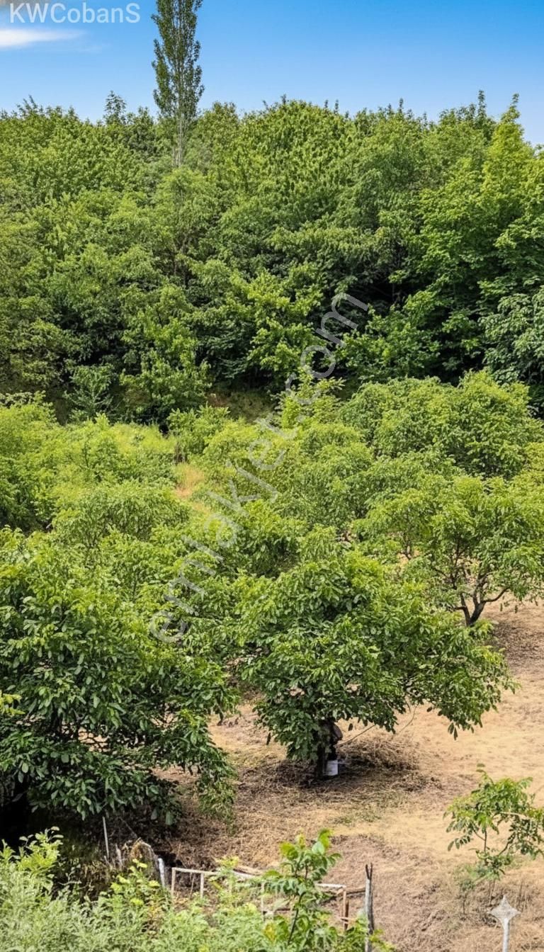 Kw Cobans'tan Yatırımlık Fırsat! Kemalpaşa’da Tek Hisseli 1488 M² Bağ Bahçe Arazi! - Görsel 6