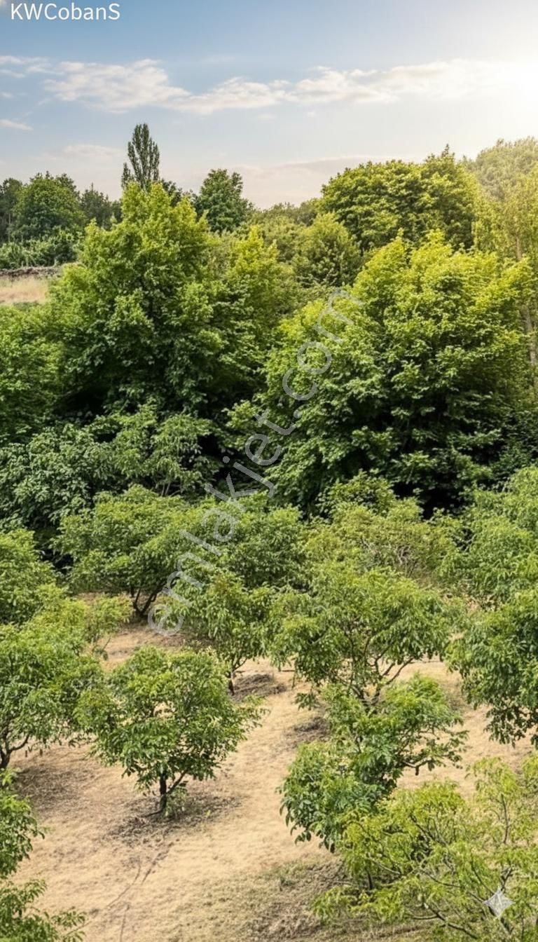 Kw Cobans'tan Yatırımlık Fırsat! Kemalpaşa’da Tek Hisseli 1488 M² Bağ Bahçe Arazi! - Görsel 9