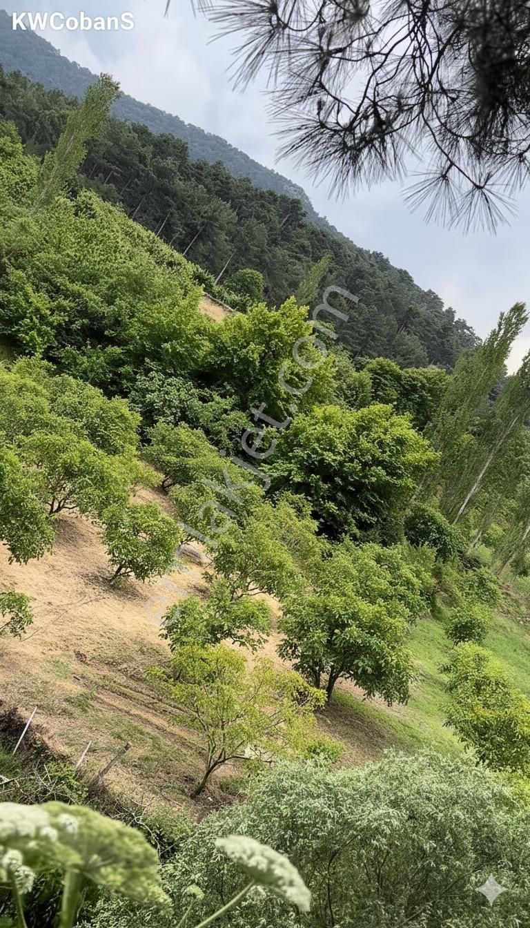 Kw Cobans'tan Yatırımlık Fırsat! Kemalpaşa’da Tek Hisseli 1488 M² Bağ Bahçe Arazi! - Görsel 5
