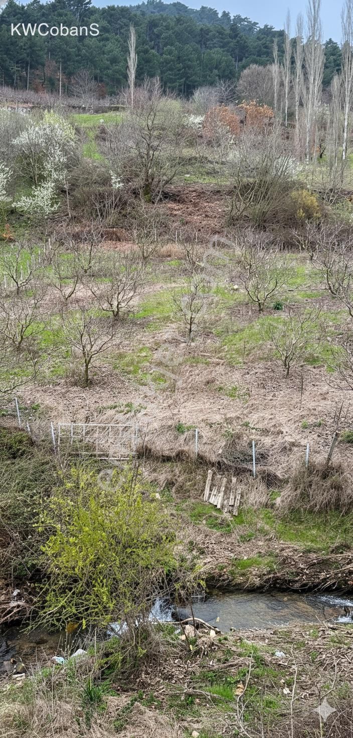 Kw Cobans'tan Yatırımlık Fırsat! Kemalpaşa’da Tek Hisseli 1488 M² Bağ Bahçe Arazi! - Görsel 10