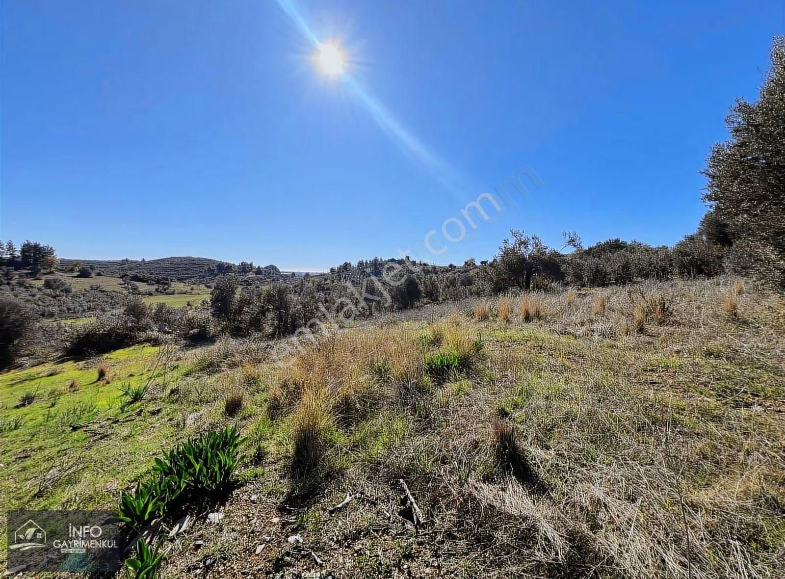 İnfo Gayrimenkul'den Satılık Tarla - Görsel 25