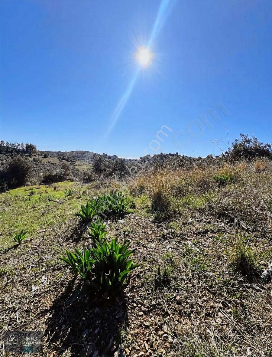 İnfo Gayrimenkul'den Satılık Tarla - Görsel 9